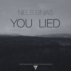 Niels Binias - You Lied