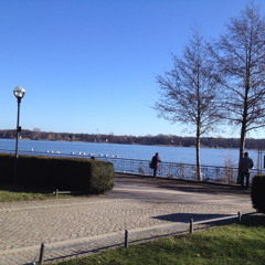 Last night my paranoia ate my friends.