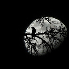 Silhouette on the Moon