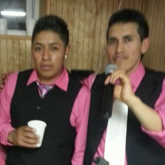 El solitario de america