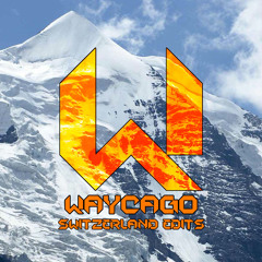 Dolphin For Action (Waycago Edit)