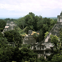 "Grind" from beatwave! pt. 3