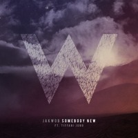 Jakwob - Somebody New (Ft. Tiffani Juno) (Jakwob VIP)