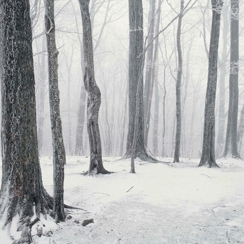 the winter road(Through the dim and through the snowstorm)