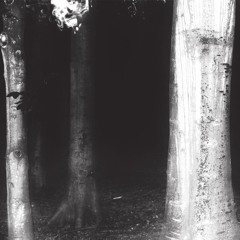 In The Androgynous Dark by Brambles