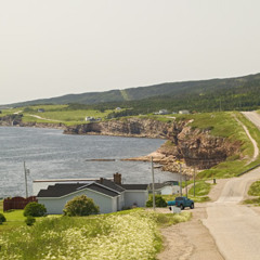 CBC Radio documentary: Car Crashes