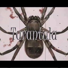 【MEIKO】Tarantula【Vocaloid】
