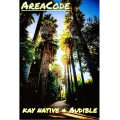 Kay Native & Audible - AreaCode