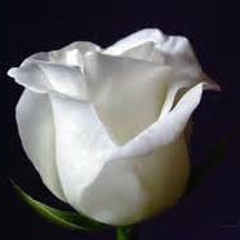 nice green ////// Grave Plott Ft  Tech N9ne   Die Again