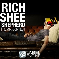 Lazy Rich & Hirshee Feat. Amba Shepherd- Damage Control (Adam Richardson Remix)