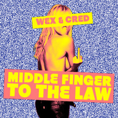 Middle Finger to the Law (Blink-182 x Jay-Z x Lil Wayne)
