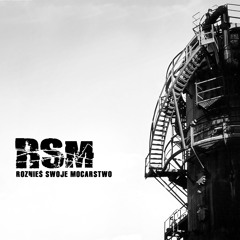 RSM - Jestem Dilerem (Cold Therapy Remix)