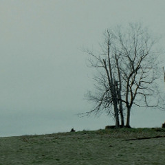 Safe&Sound(TaylorSwift) covered by Gavin