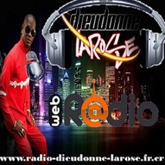 Dieudonné LAROSE : Mandela Live