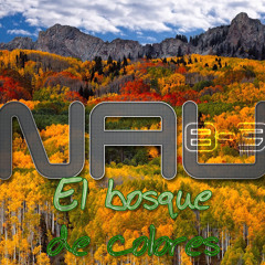 NAU-B3 - El bosque de colores (NORMAL SIZE CUT)