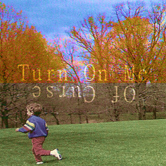 Turn On Me (The Shins)