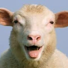 LALA SONG By THE LITTLE MATCH GIRL