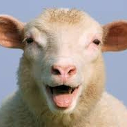 LALA SONG By THE LITTLE MATCH GIRL