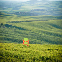 W I R E D  C O N T R O L L E R