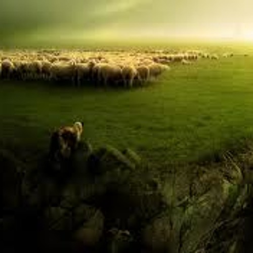 THE LITTLE MATCH GIRL Dream (unofficial MV)