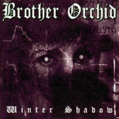 Warmth Beneath Winter(unreleased Radio Edit) -Brother Orchid