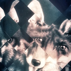 Mr. Fox Learns To Dance