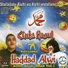 Download lagu Hadad alwi & Sulis - Nurul Mustofa 