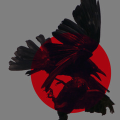 Neurosesick - Interview with Kanal 30 Online Radio