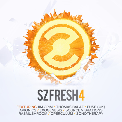 SZ Fresh 4.1 Avionics - Bunduru