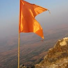 Shiv Janmane Shivnerivar Bhagva Zenda Fadakla - NS Production Remix