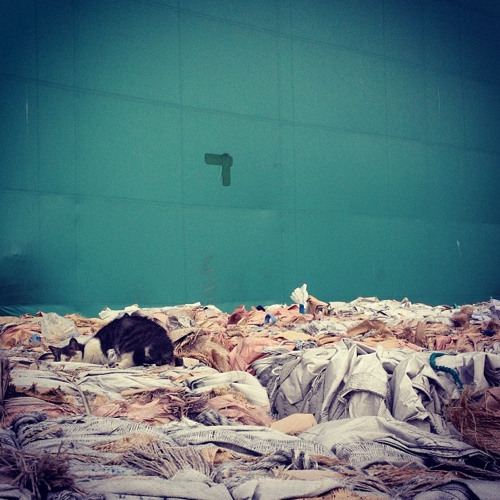 nwn5 [disquiet0111-actsofcommons]