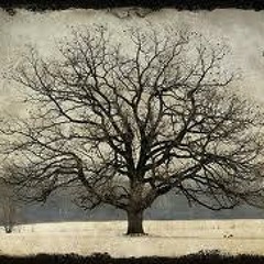 The Winter Oak by Yuri Nagibin