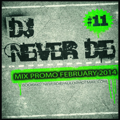 Dj Never Die Mix Promo February 2014 / 011