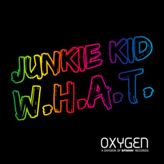 Junkie Kid - W.H.A.T. (Original Mix)