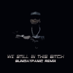 We Still In This Bitch - B.o.B & T.I. & Juicy J (SUNDAYPANIC RMX)