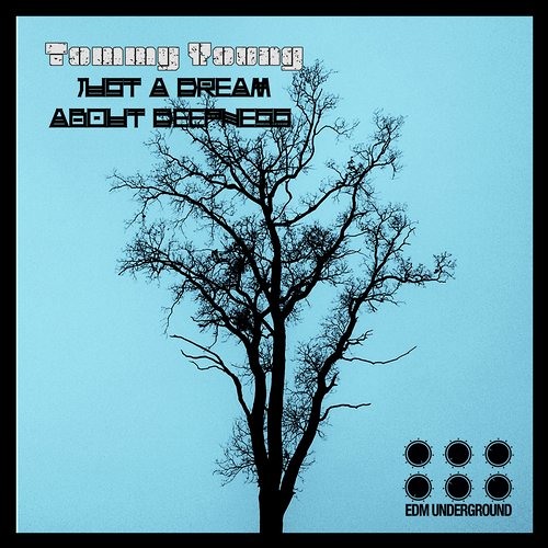 Tommy Young-Just a Dream about Deepness Out Now on Beatport www.elektrikdreamsmusic.com