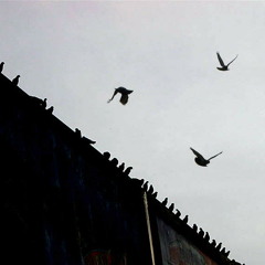 Transmission - from Whore Bomb EP