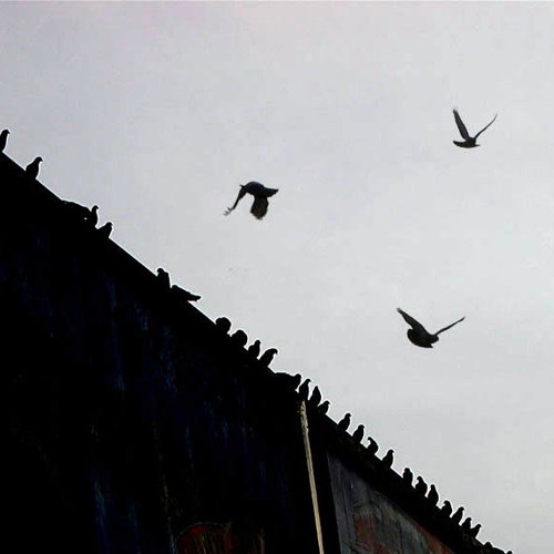 Transmission - from Whore Bomb EP