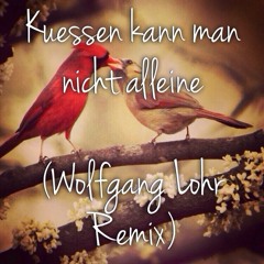 Kuessen Kann Man Nicht Alleine (Wolfgang Lohr Remix)