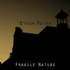 Dust - Fragile Nature EP