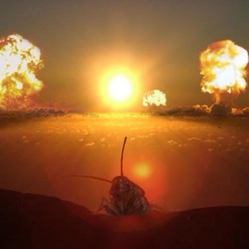 Tumblin' Stars - The Fall of Loh Dense City