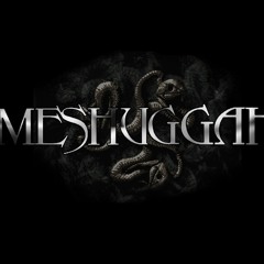 Meshuggah - Rational Gaze Cover