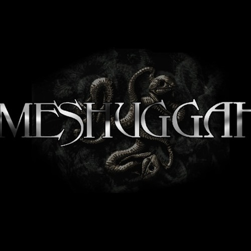 Meshuggah - Rational Gaze Cover