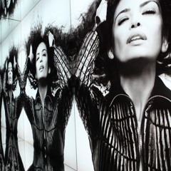 Hogan Pres. The Karl Lagerfeld Collection Pt 2
