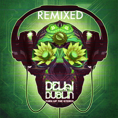 Delhi 2 Dublin - Revolution (Timothy Wisdom Remix)