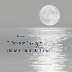 III. "Porque tus ojos tienen color de luna..." (Homenaje a Pablo Neruda) F.J.Andreo Gázquez