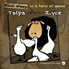 Talpa & Zyce - Black Sheep In A Herd Of Geese - SAMPLE