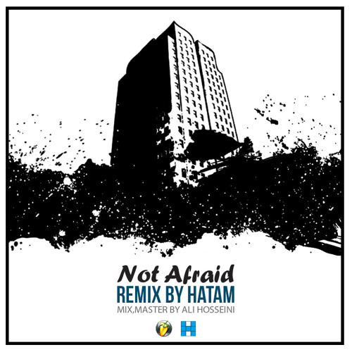 Eminem - Not Afraid REMIX