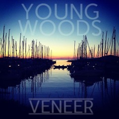 Veneer