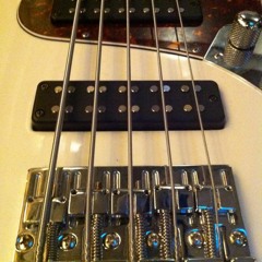 Ain't Gonna Take It-Suicidal Tendencies BASS COVER